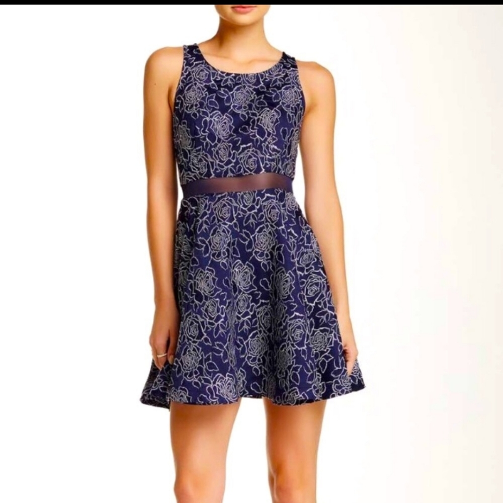 Dark Rose Fit-And-Flare Dress